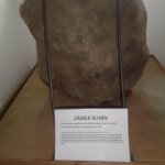 phoca_thumb_m_zmek kunn 59 Fotogalerie